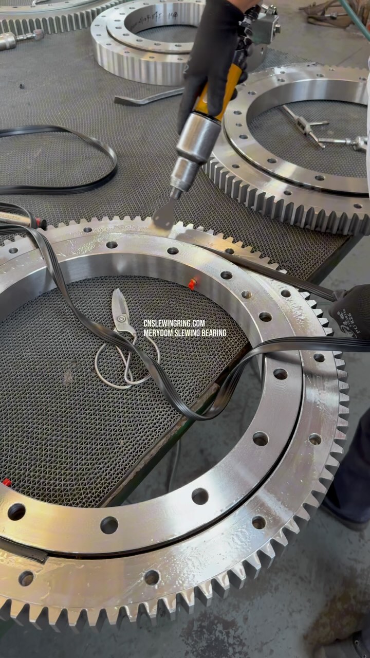 MERYDOM Slewing Bearing