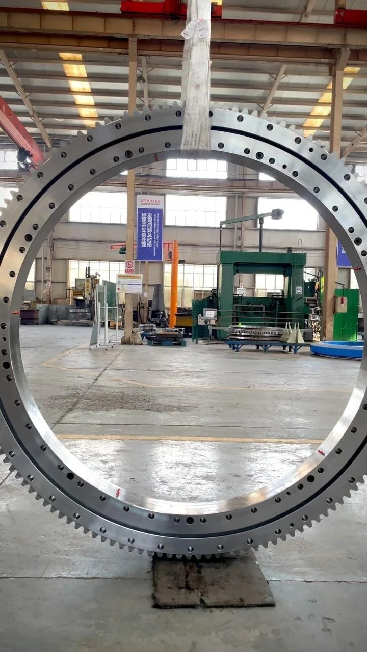 Video dello stabilimento MERYDOM 832