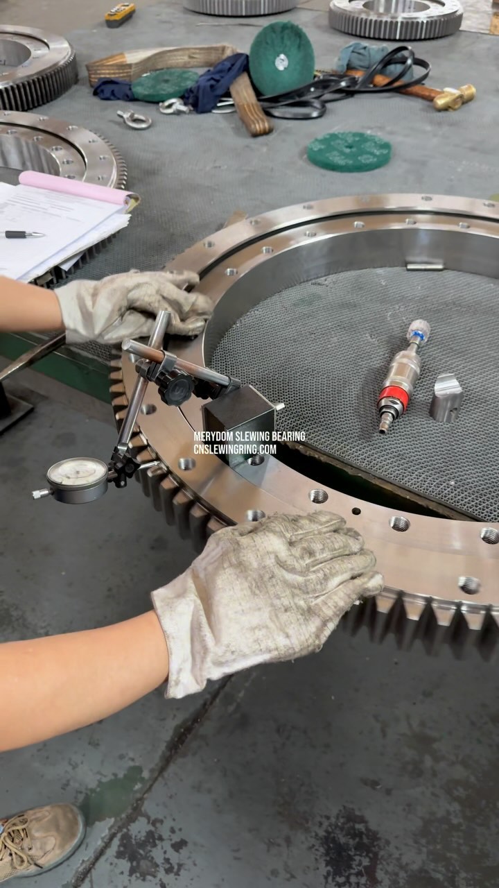 MERYDOM SLEWING BEARING