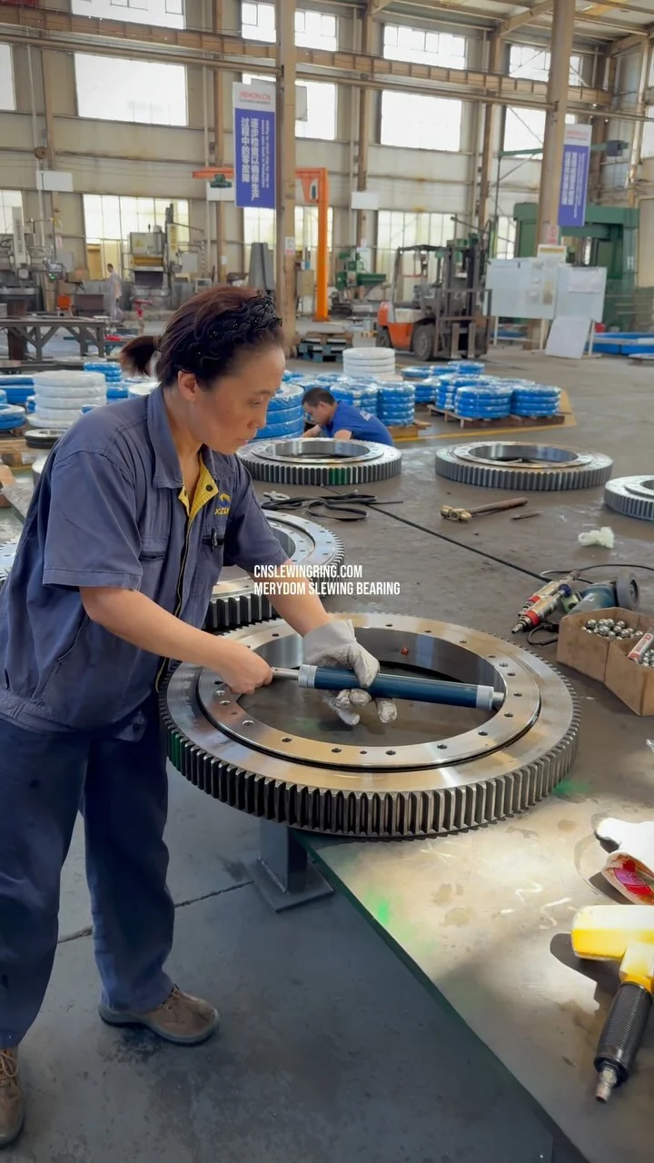 Video dello stabilimento MERYDOM 586