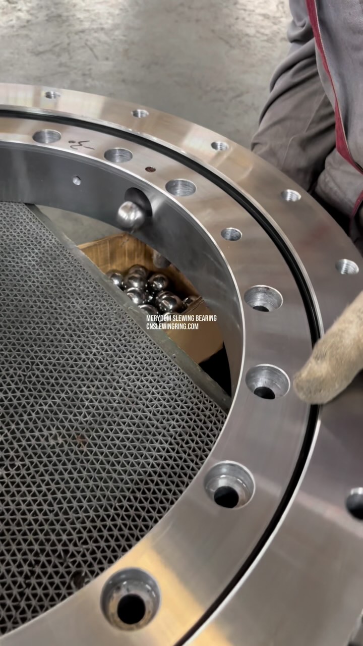 MERYDOM SLEWING BEARING