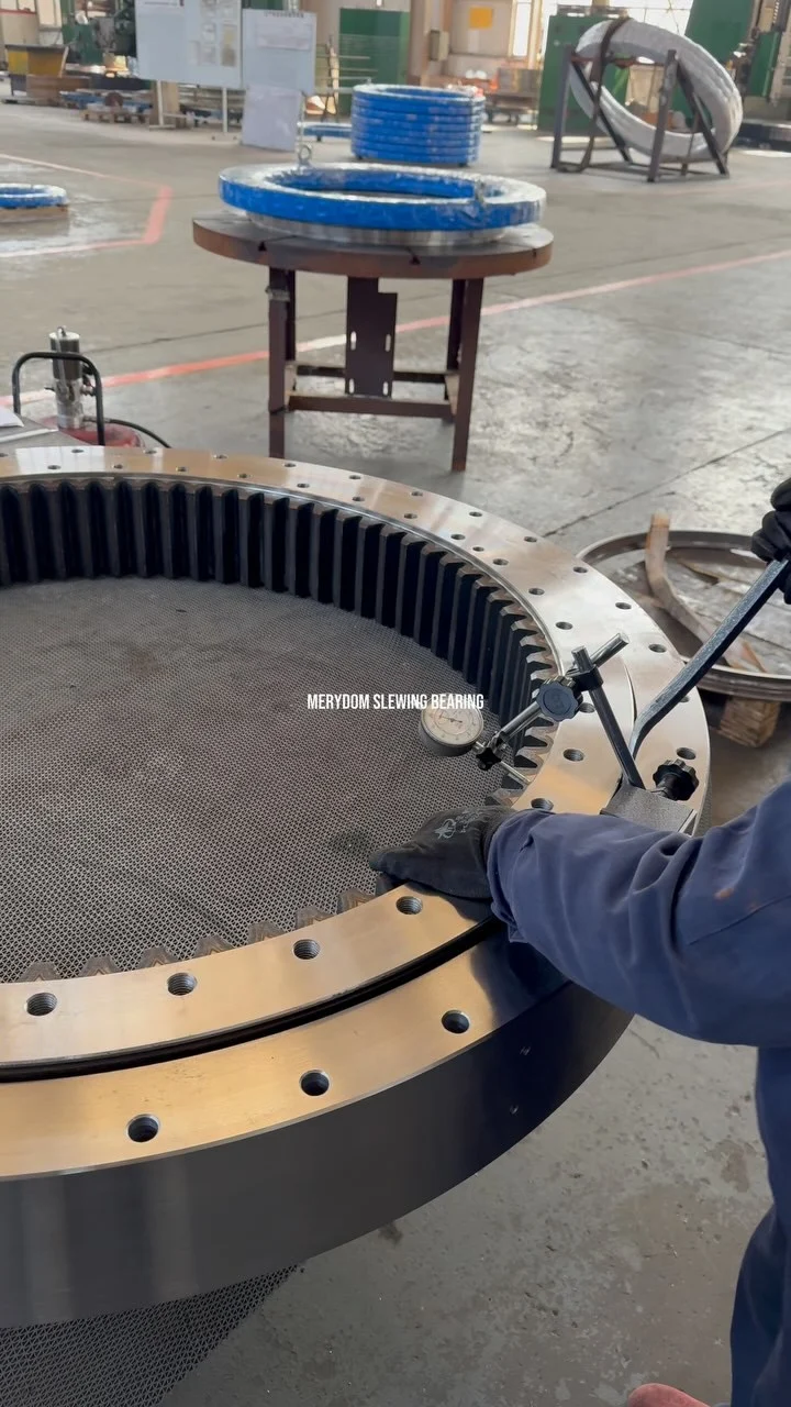 MERYDOM SLEWING BEARING