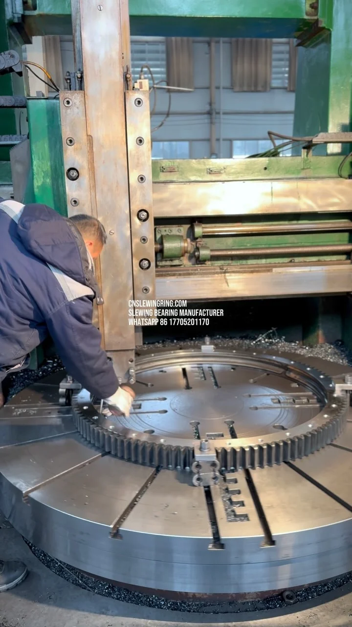 Video dello stabilimento MERYDOM 749