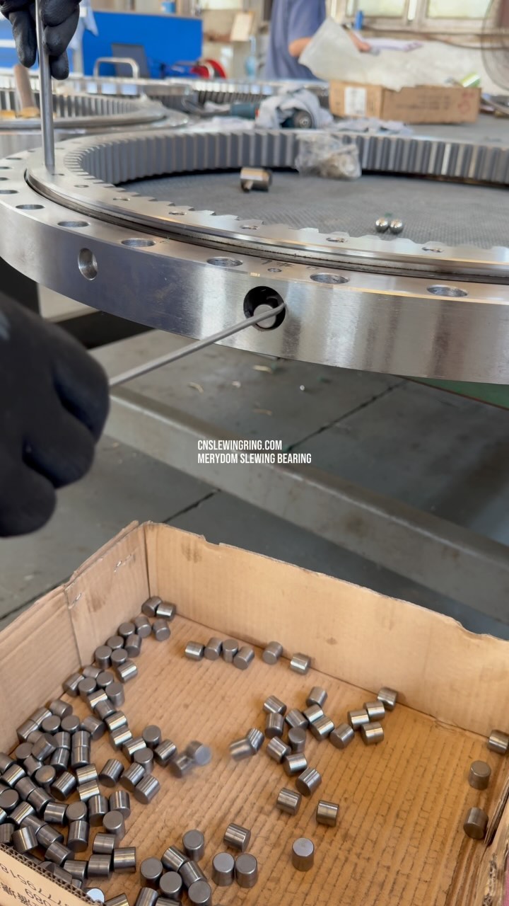MERYDOM Slewing Bearing