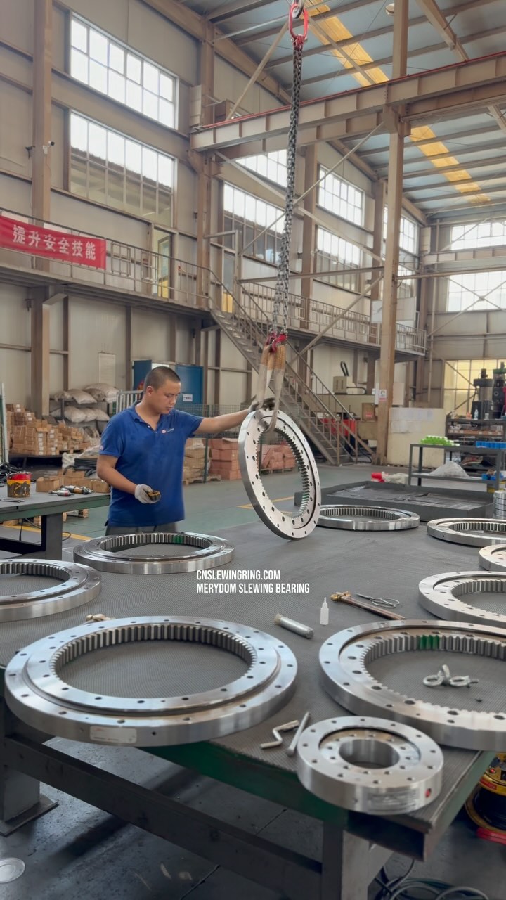 MERYDOM slewing bearings, we focus on providing high-quality and cost-effective slewing bearings for the crane industry.