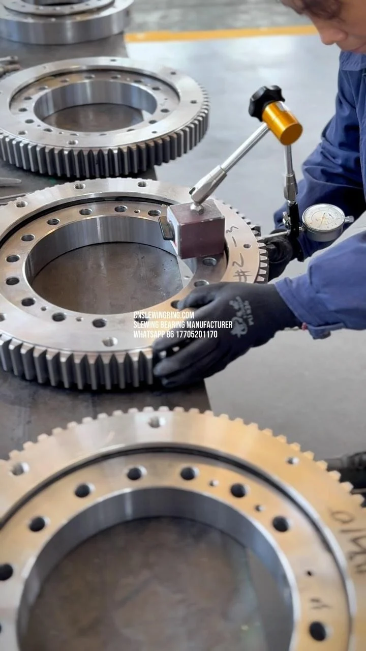 Video dello stabilimento MERYDOM 722