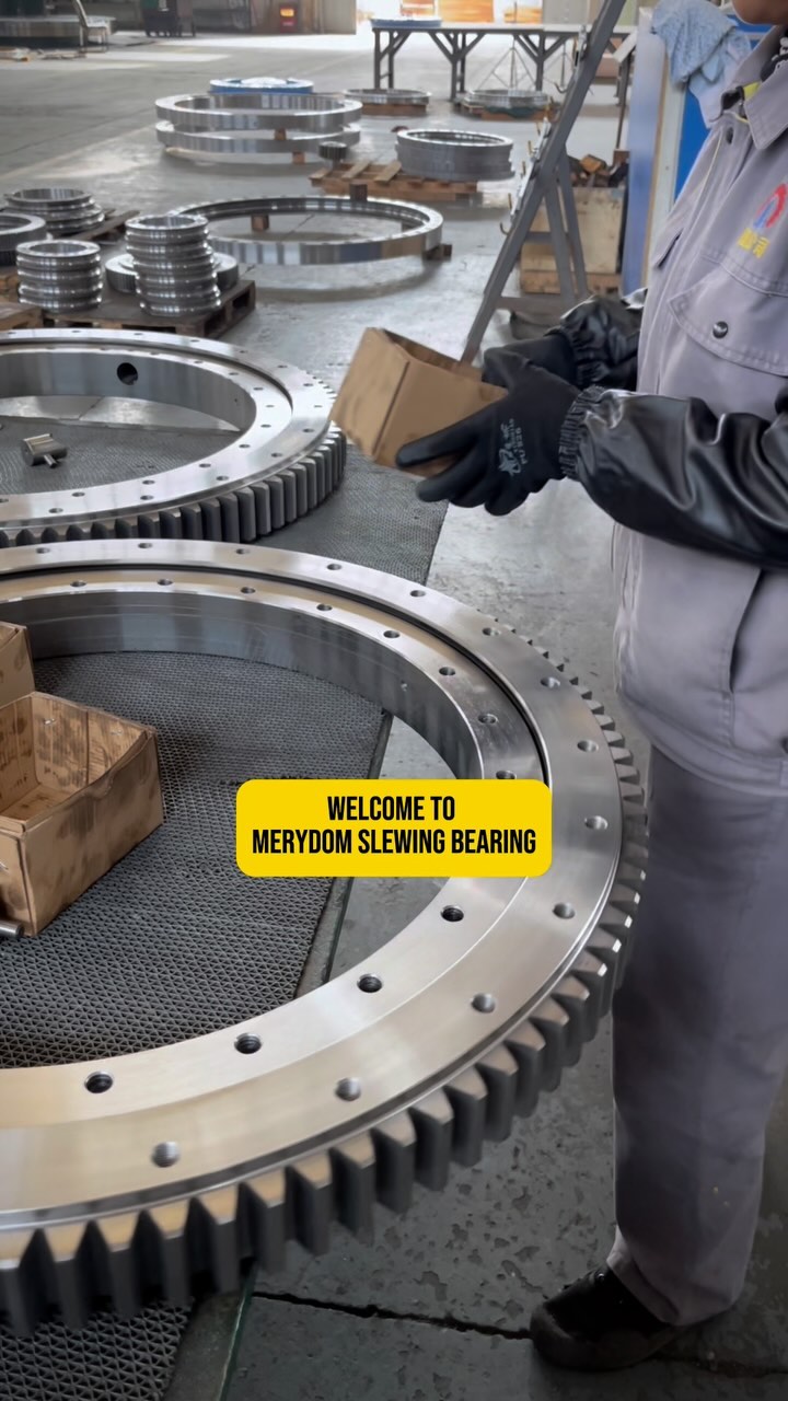Welcome to MERYDOM Slewing Bearing.😀