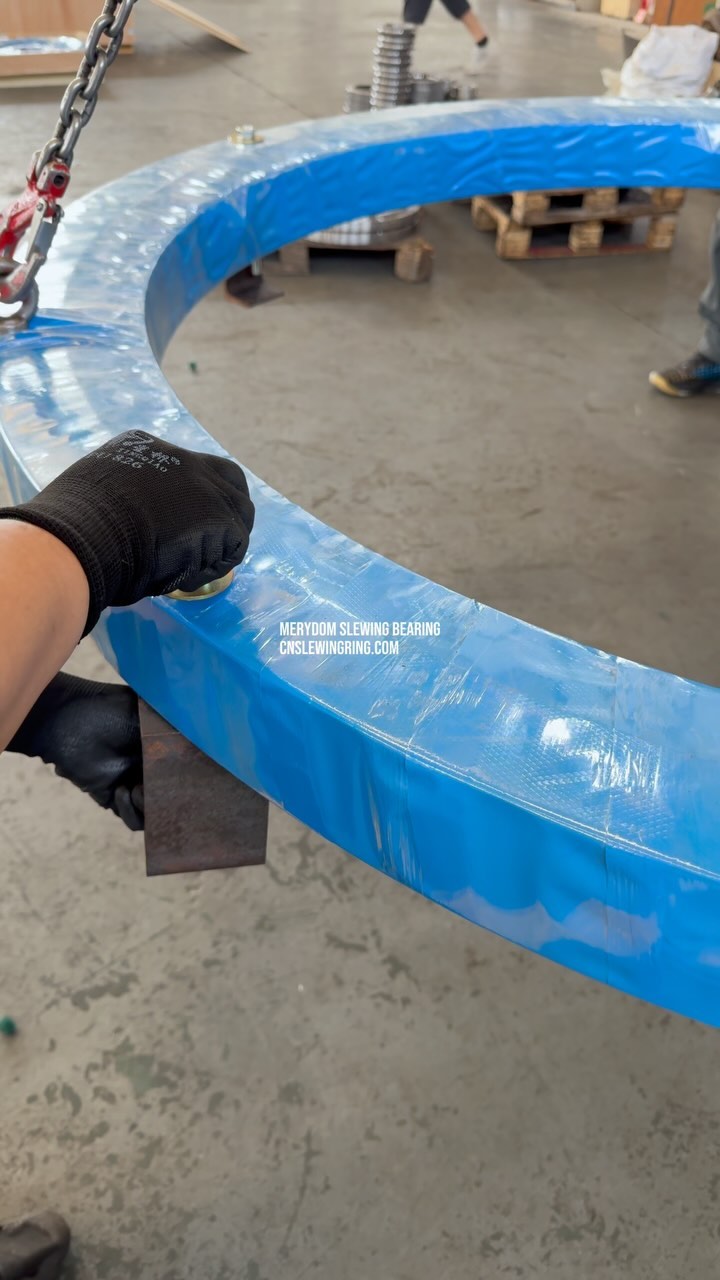 MERYDOM SLEWING BEARING