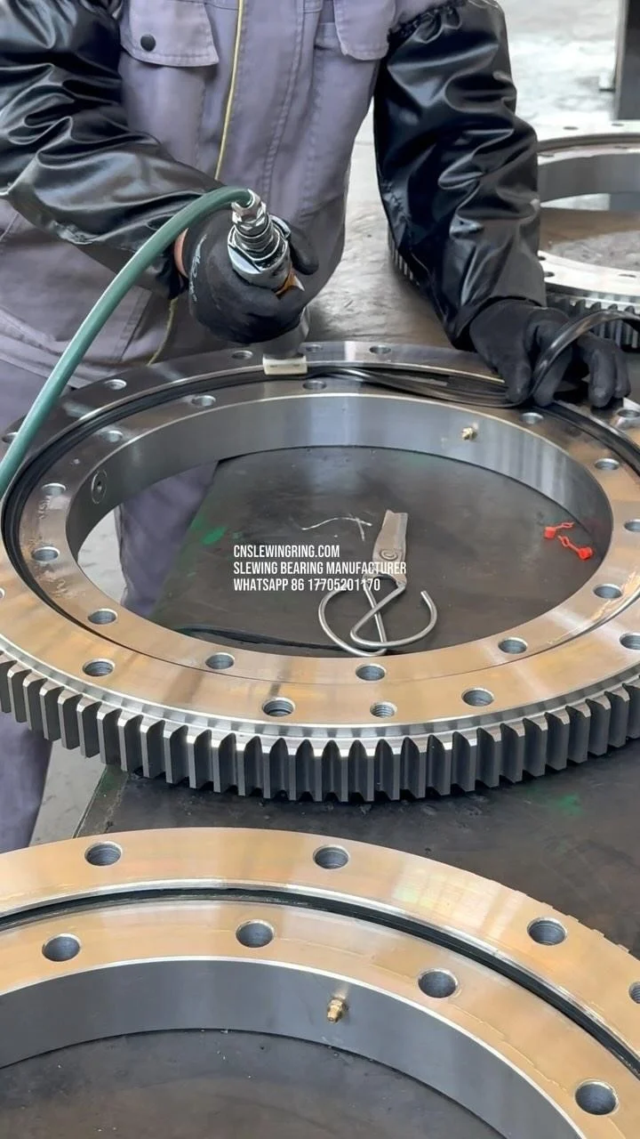 Video dello stabilimento MERYDOM 652