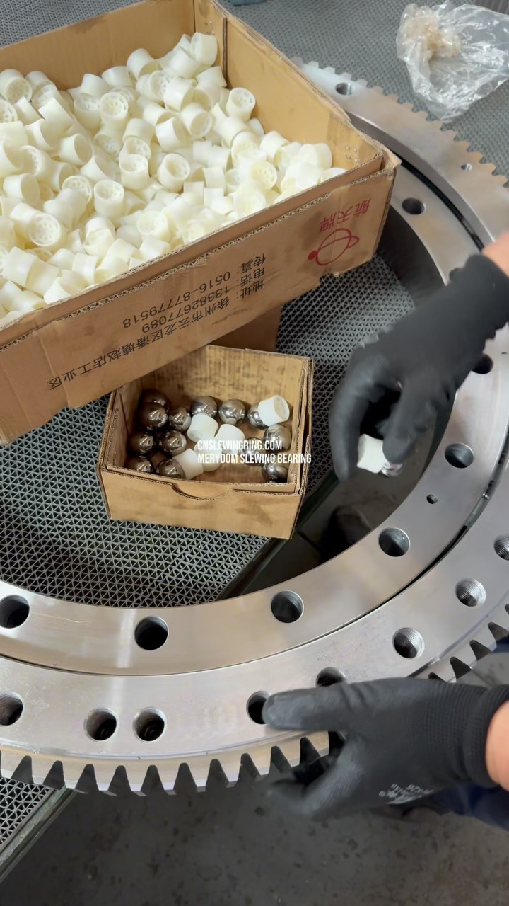 MERYDOM Slewing Bearing