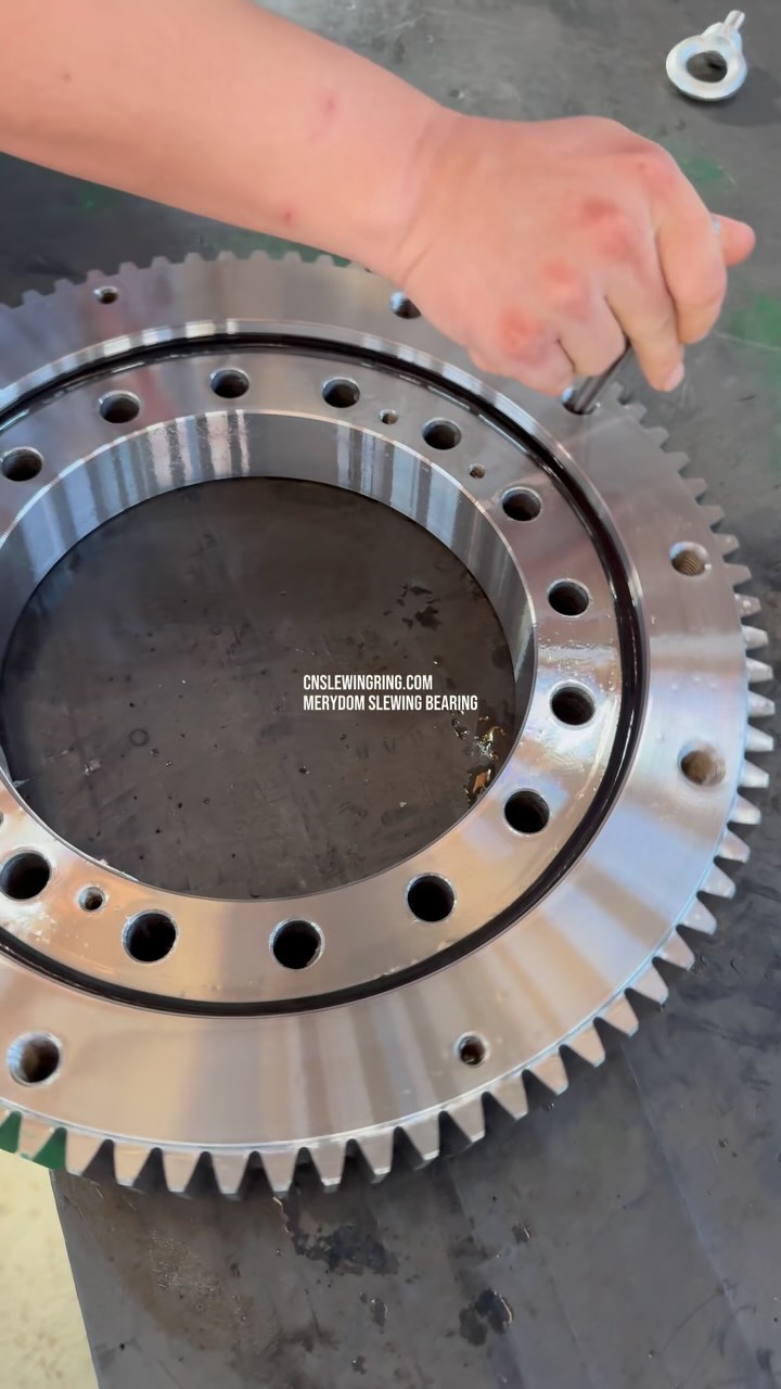 Samples exported to Europe, slewing bearings used in filling machine production lines.