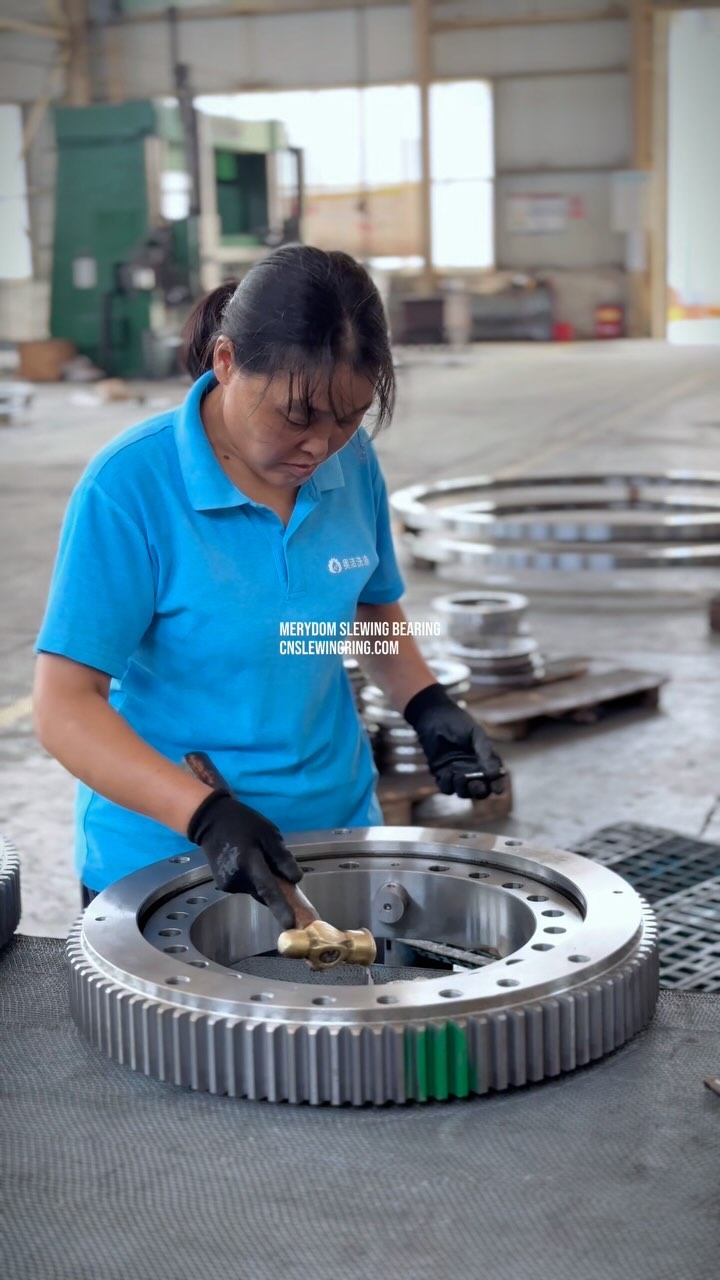 MERYDOM SLEWING BEARING CNSLEWINGRING.COM