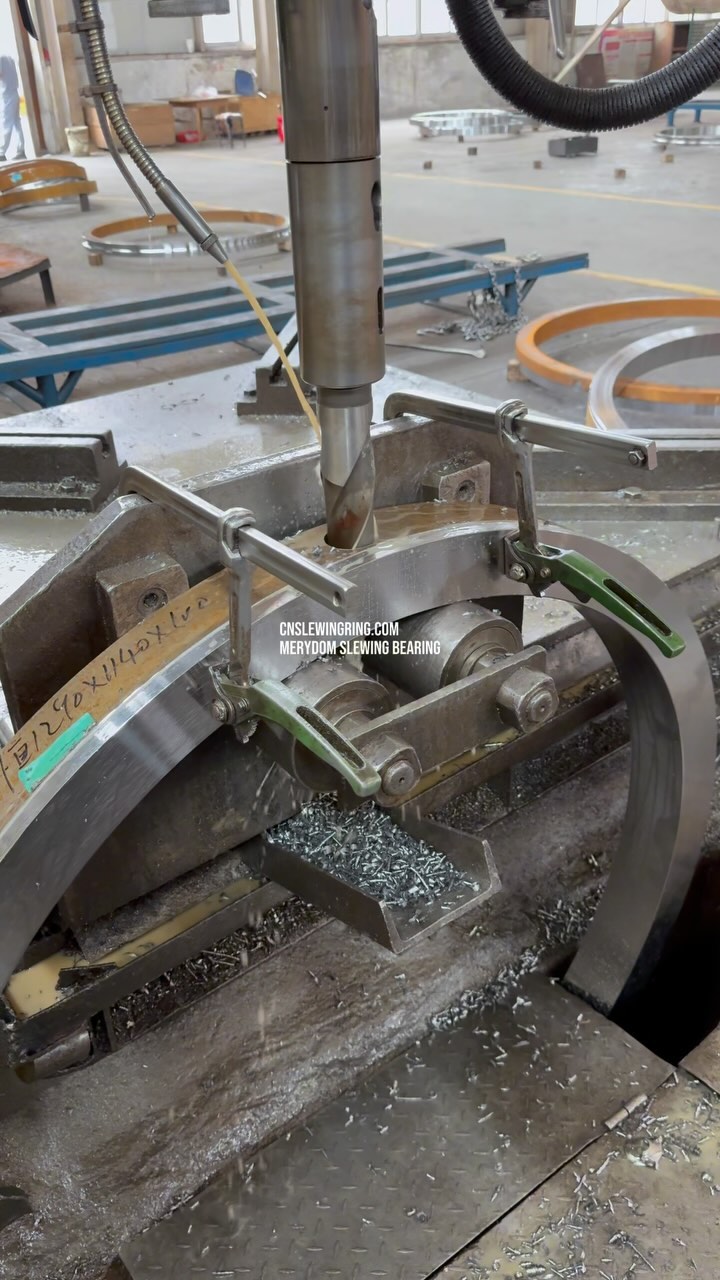 MERYDOM Slewing Bearing