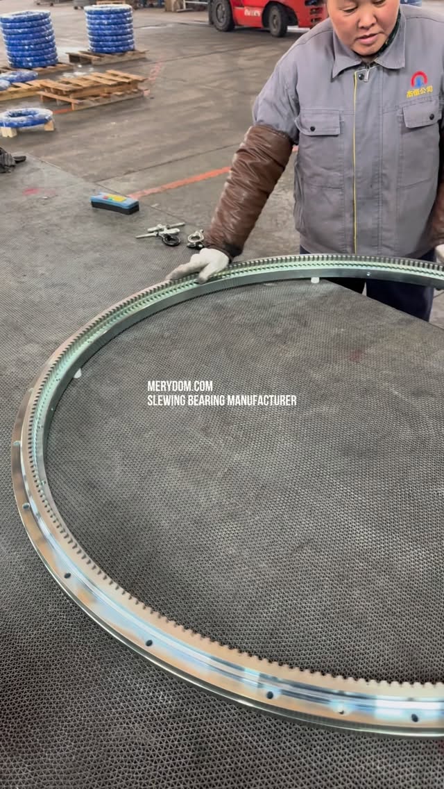MERYDOM Fertigungsvideo 115
