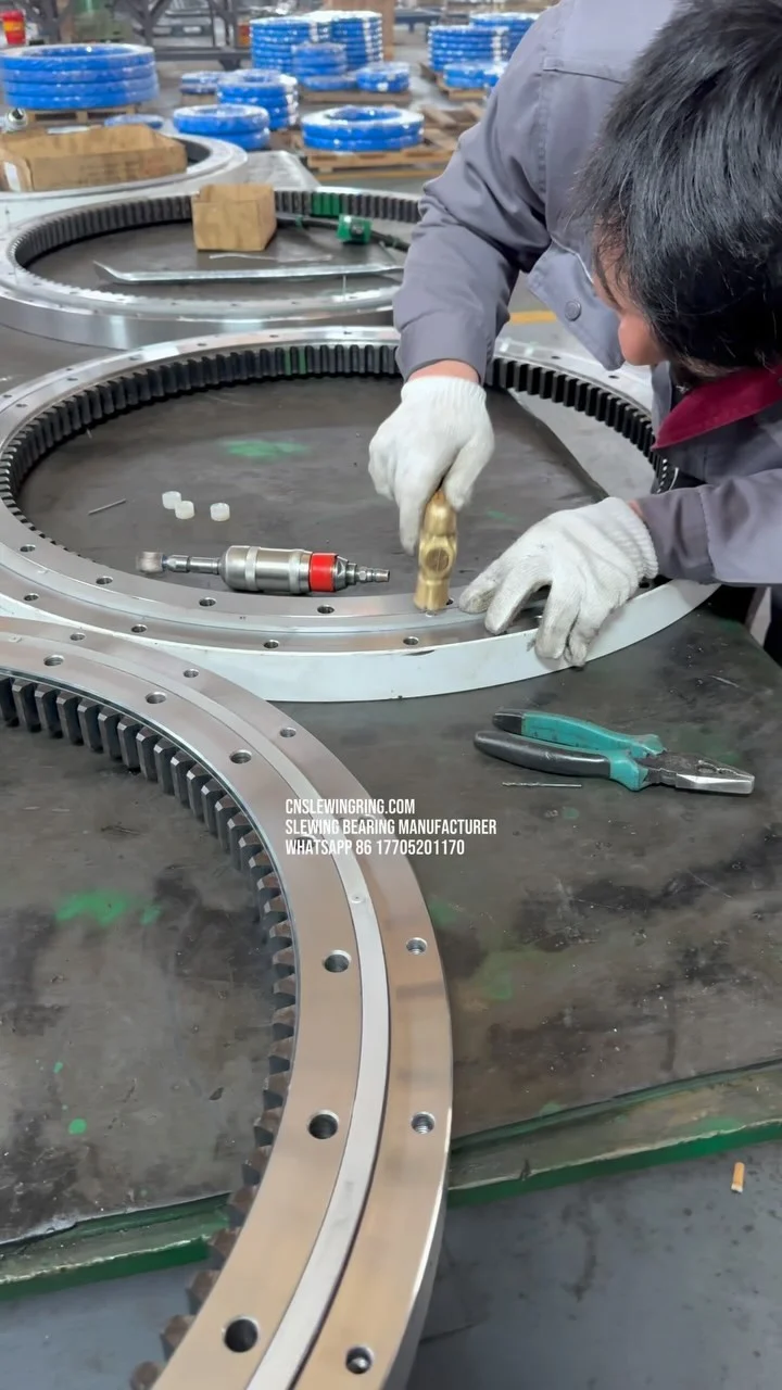 Video dello stabilimento MERYDOM 657