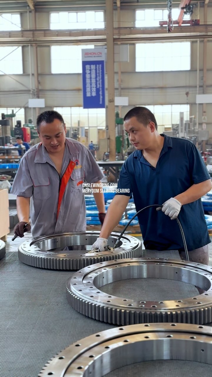 MERYDOM Slewing Bearing