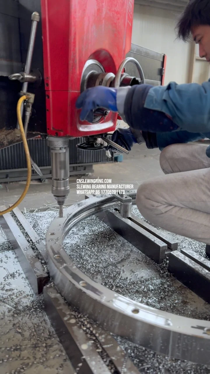 Video dello stabilimento MERYDOM 751