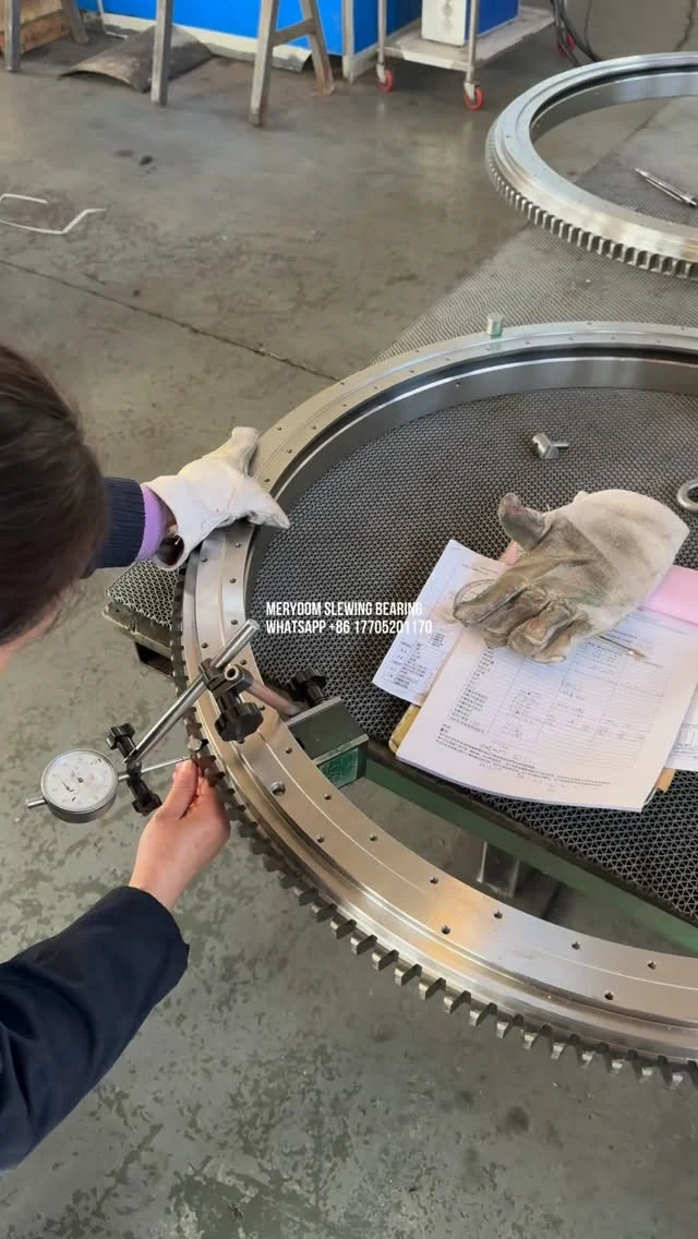 Do you know what the green and red markings on the slewing bearing gear are used for?