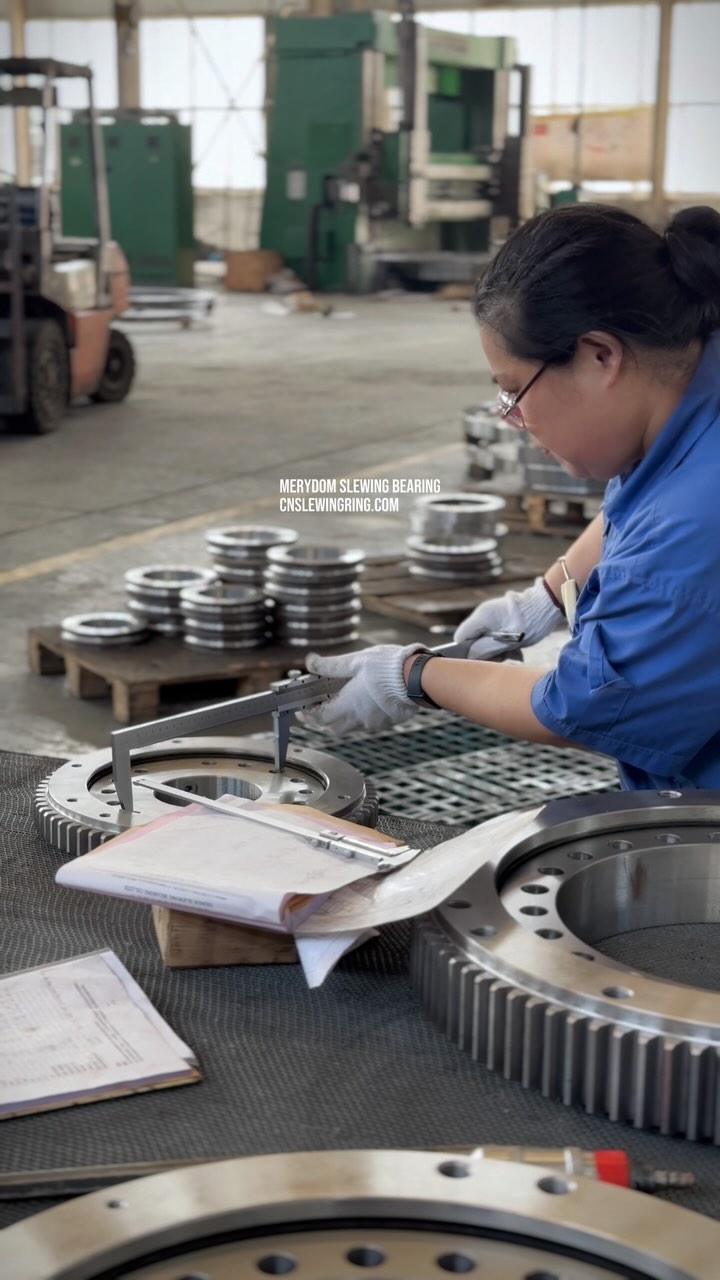 MERYDOM SLEWING BEARING CNSLEWINGRING.COM