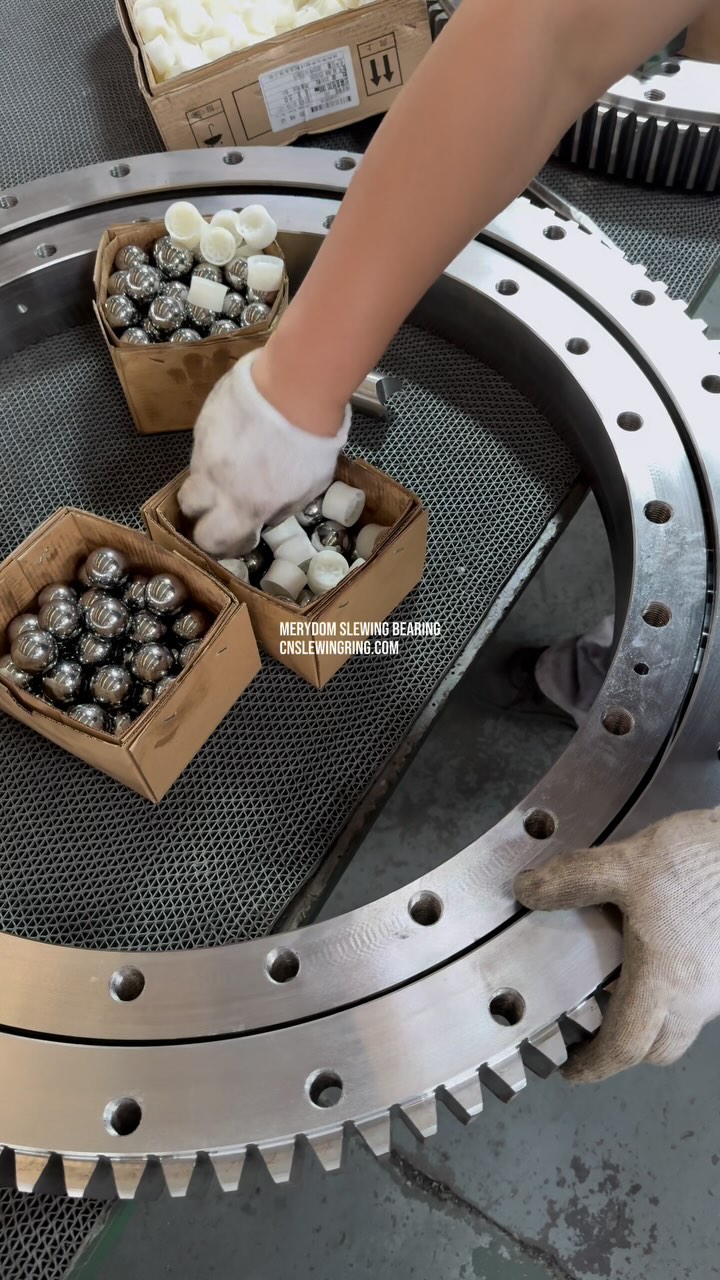 MERYDOM SLEWING BEARING