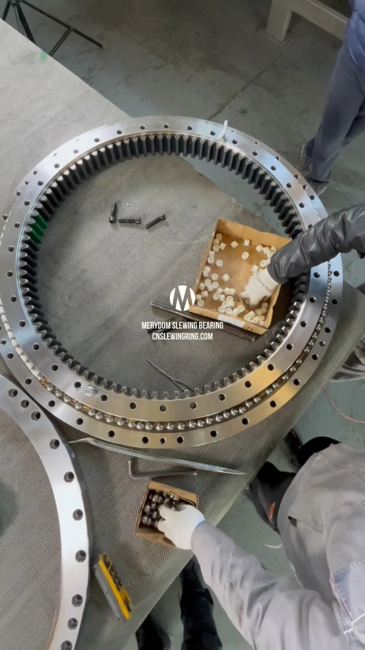 MERYDOM Double-row Ball Slewing Bearing