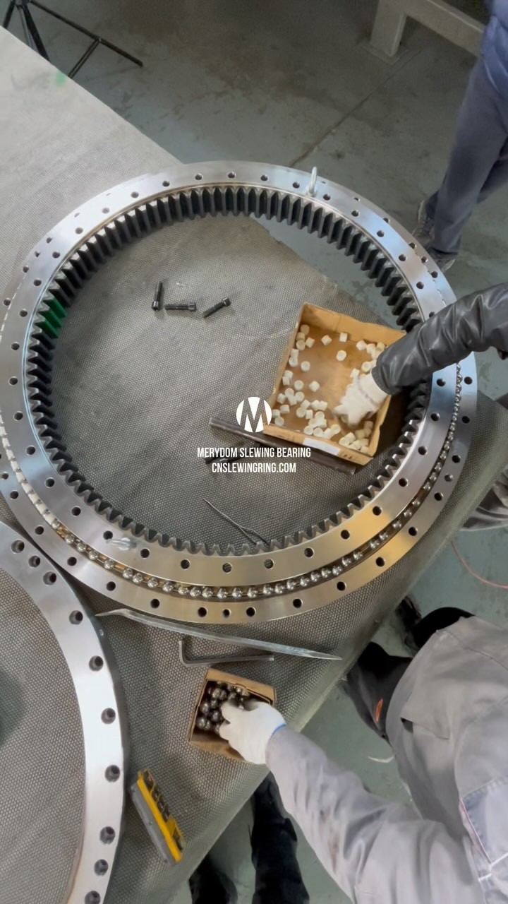 MERYDOM Double-row Ball Slewing Bearing